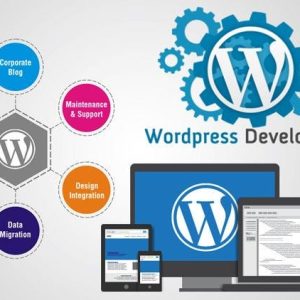 WordPress Website Development